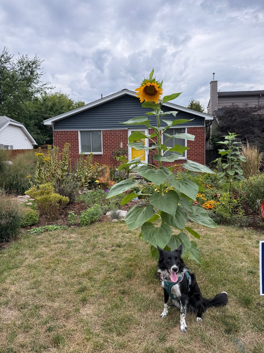 Photo from August 31, 2026