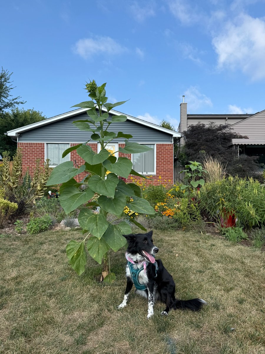 Photo from August 23, 2026